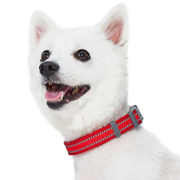 Rogue Red | Back to Basics Reflective Dog Collar