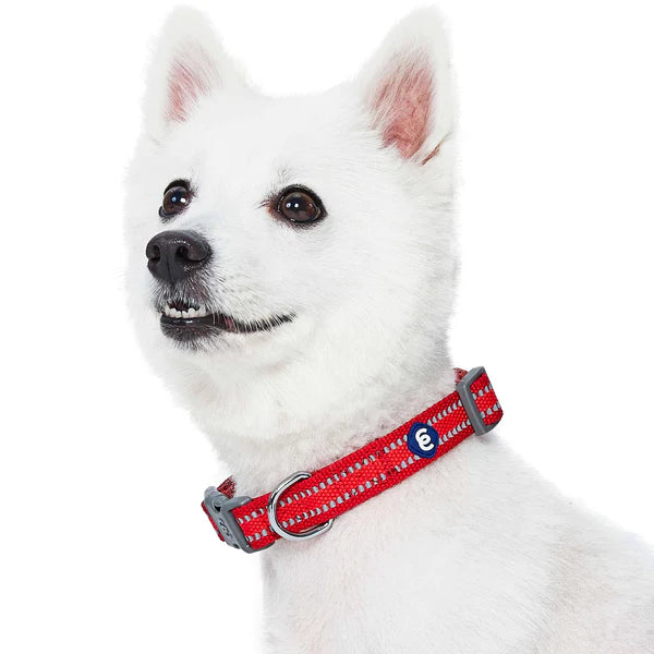 Rogue Red | Back to Basics Reflective Dog Collar