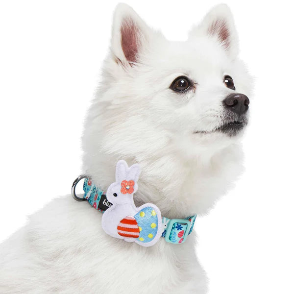 Blue | Easter Bunny and Egg Dog Collar