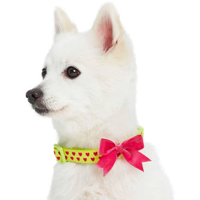 Highlighter Green | Dotted Velvet Heart Dog Collar