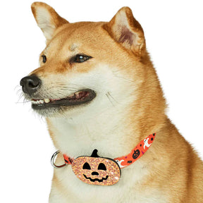 Jack-O-Lantern | Halloween Dog Collar