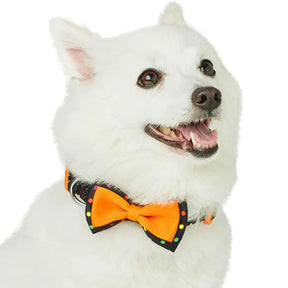 Polka Dot Halloween Dog Collar