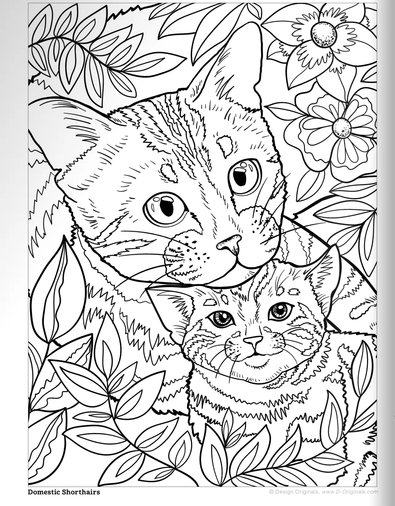 Coloring Book - Cats & Kittens