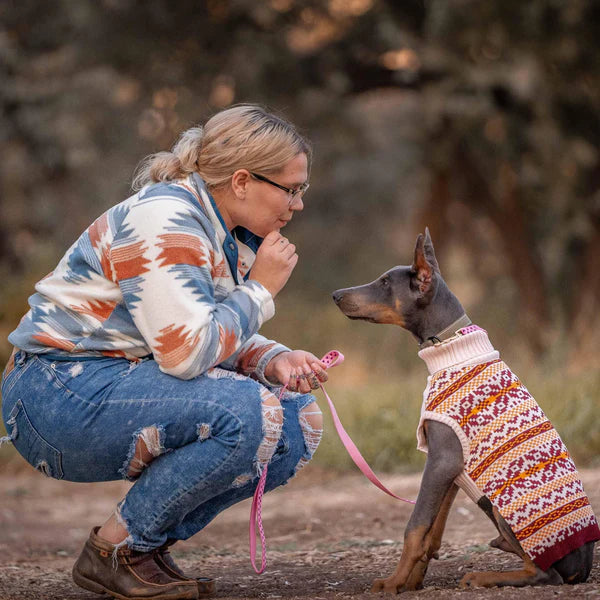 Artisan Chic Beige | Fair Isle Pullover Dog Sweater