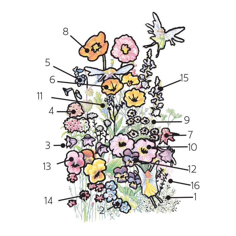 Flower Mix "Fairy Meadow" Seeds