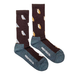 Friday Sock Co. - Women's Socks Snowy Owl/Brown Owl