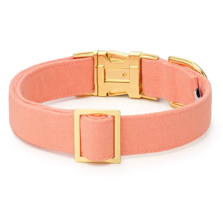 Dog Collar Mango Spring