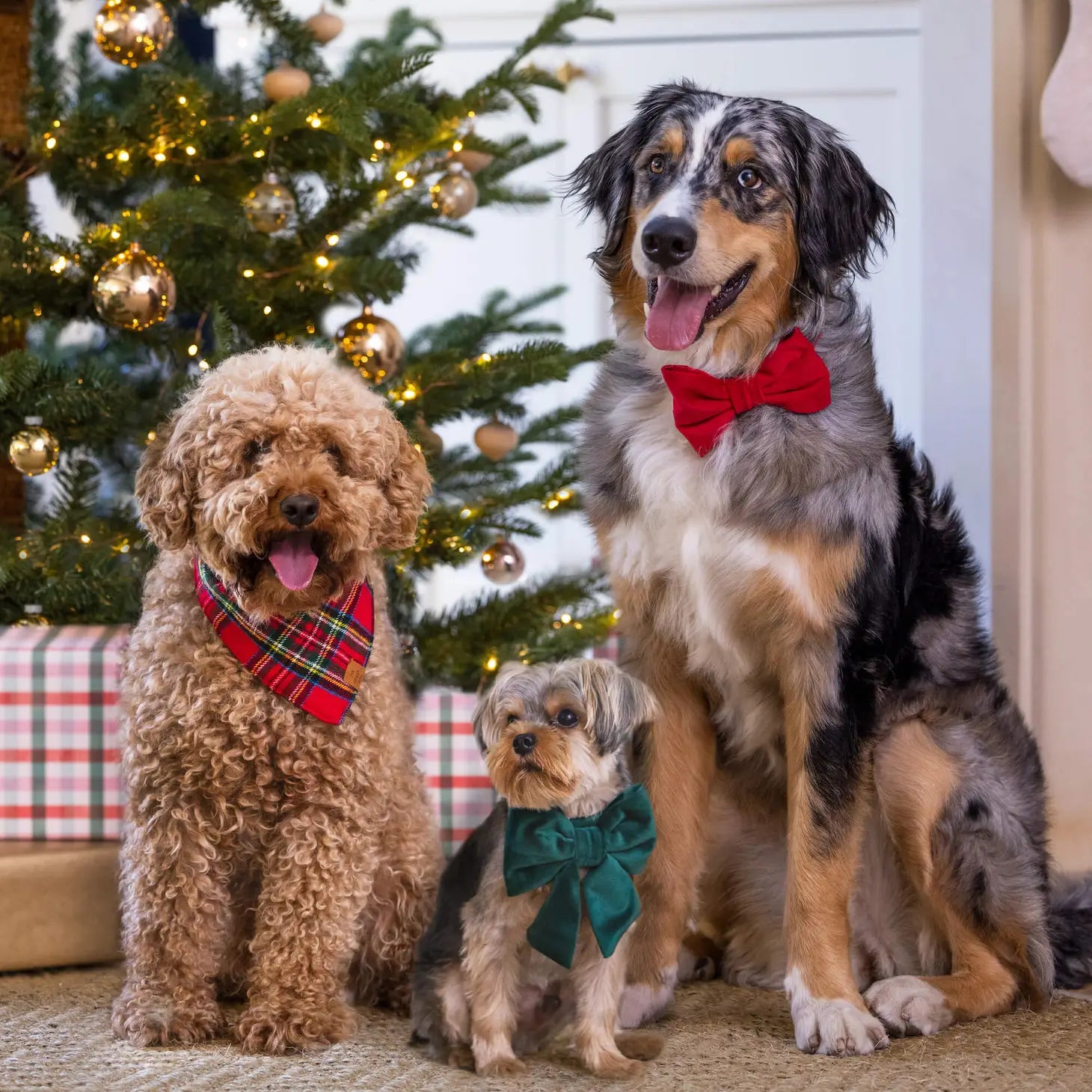 Bandana Holiday Plaid Flannel