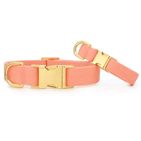 Dog Collar Mango Spring