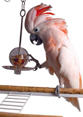 Caitec - Bird Toy Buffet Ball Hanging