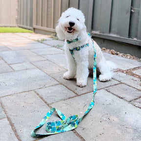 Bahamas Vacation Dog Harness