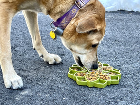 Enrichment Dog Tray Lick Mat - Mandala Design