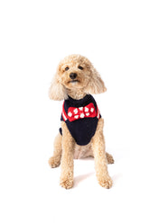 Dog Sweater Bow Tie Red, White & Blue