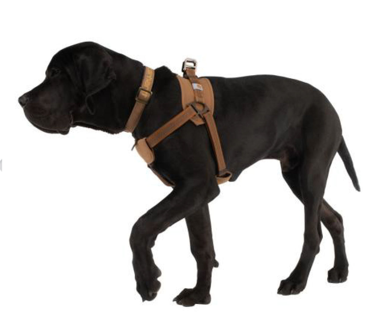 Carhartt Training Harness for Dogs-Southern Agriculture