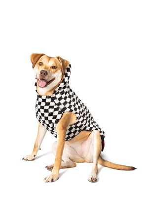 Dog Sweater Checkerboard Hoodie Wool