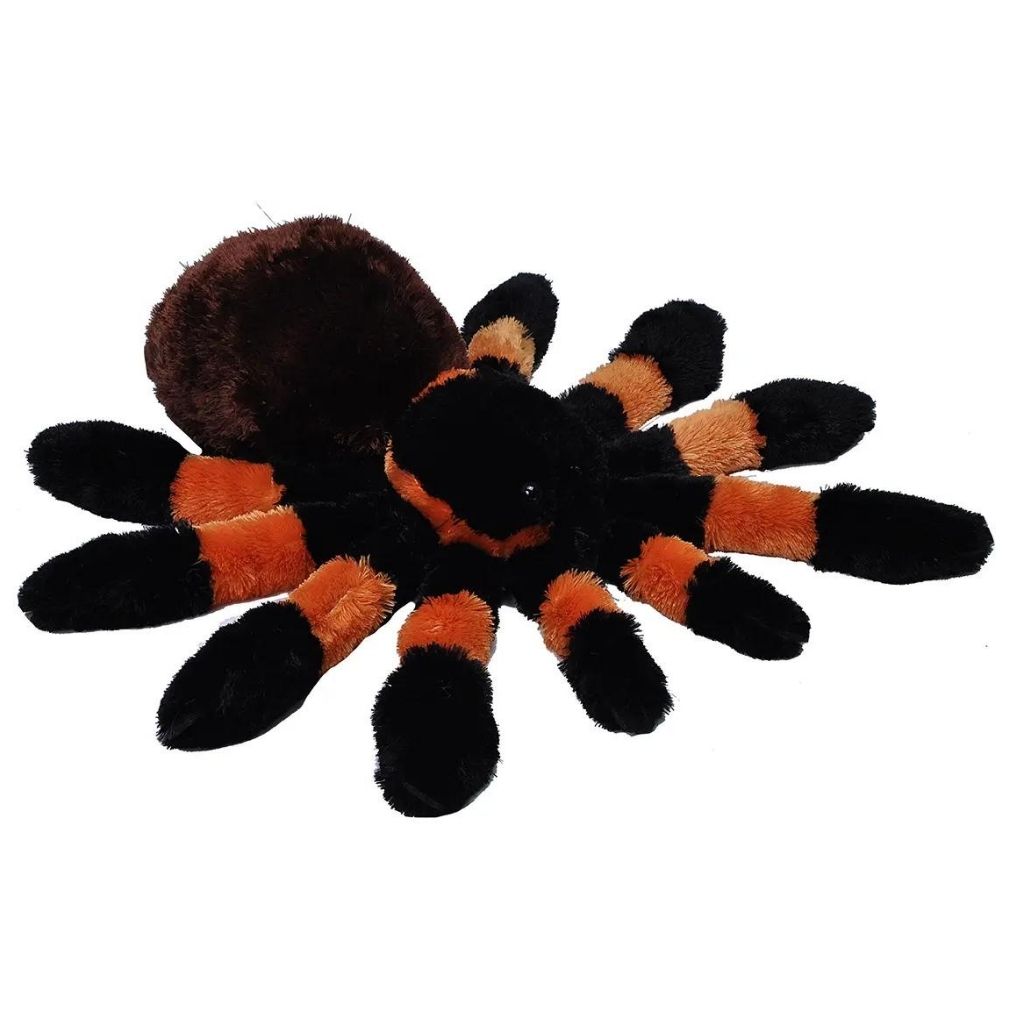 Plush Tarantula-Southern Agriculture