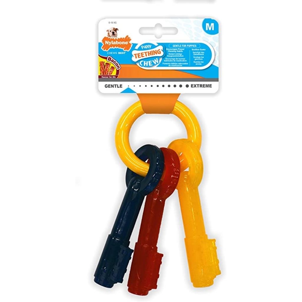 Nylabone - Puppy Chew Keys