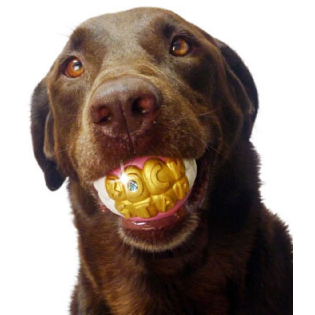 Humunga Bling Ball for Dogs