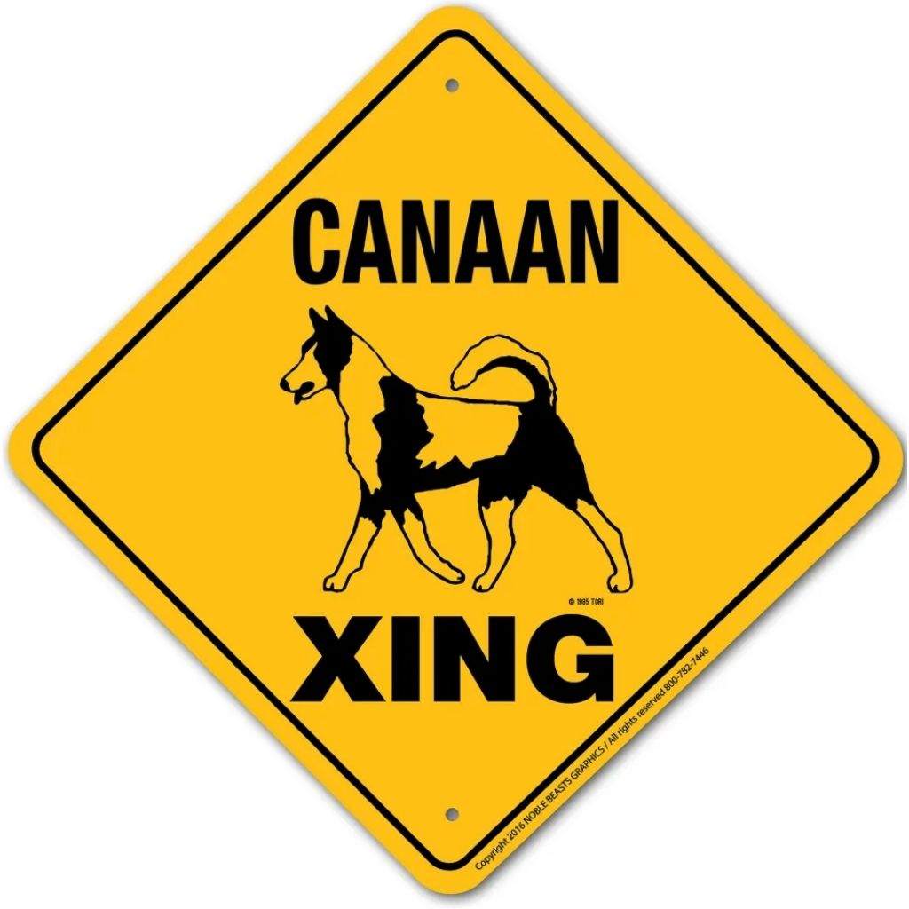 Canaan X-ing Sign