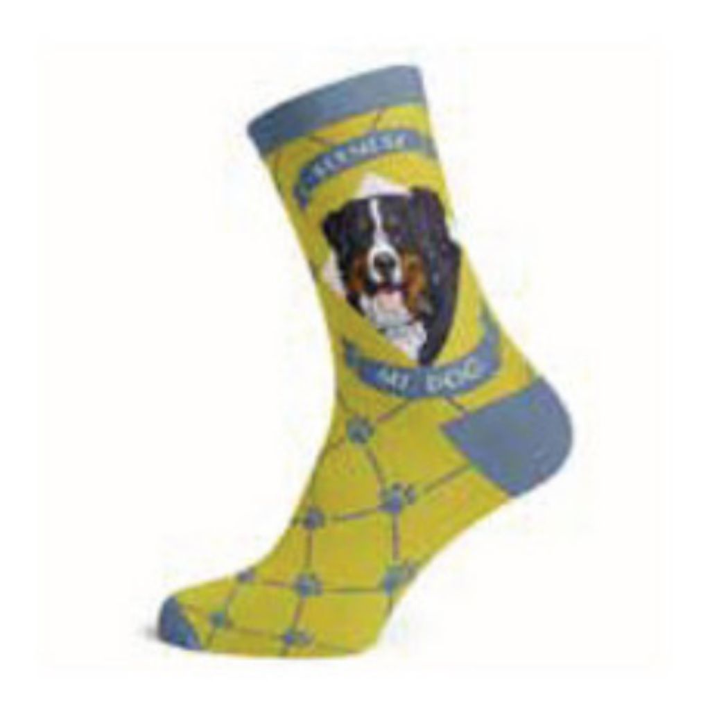 SockAtomic - Bernese Mountain Dog