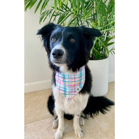 The Social Dawg - Bandana Spring Plaid Tie-On