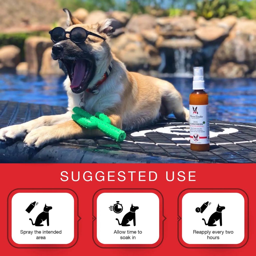 Warren London - Dog Sunscreen With Aloe Vera 4 oz.