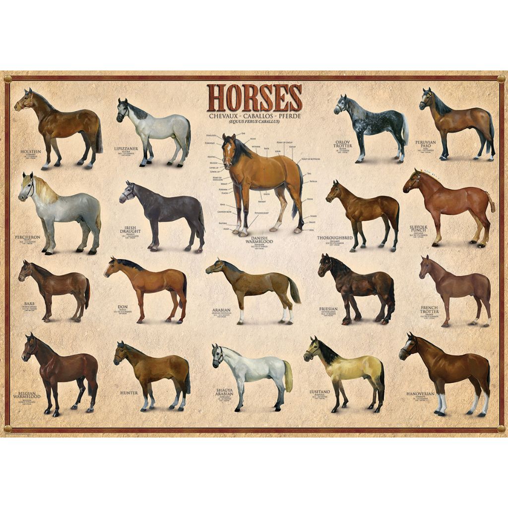 Puzzle Horses