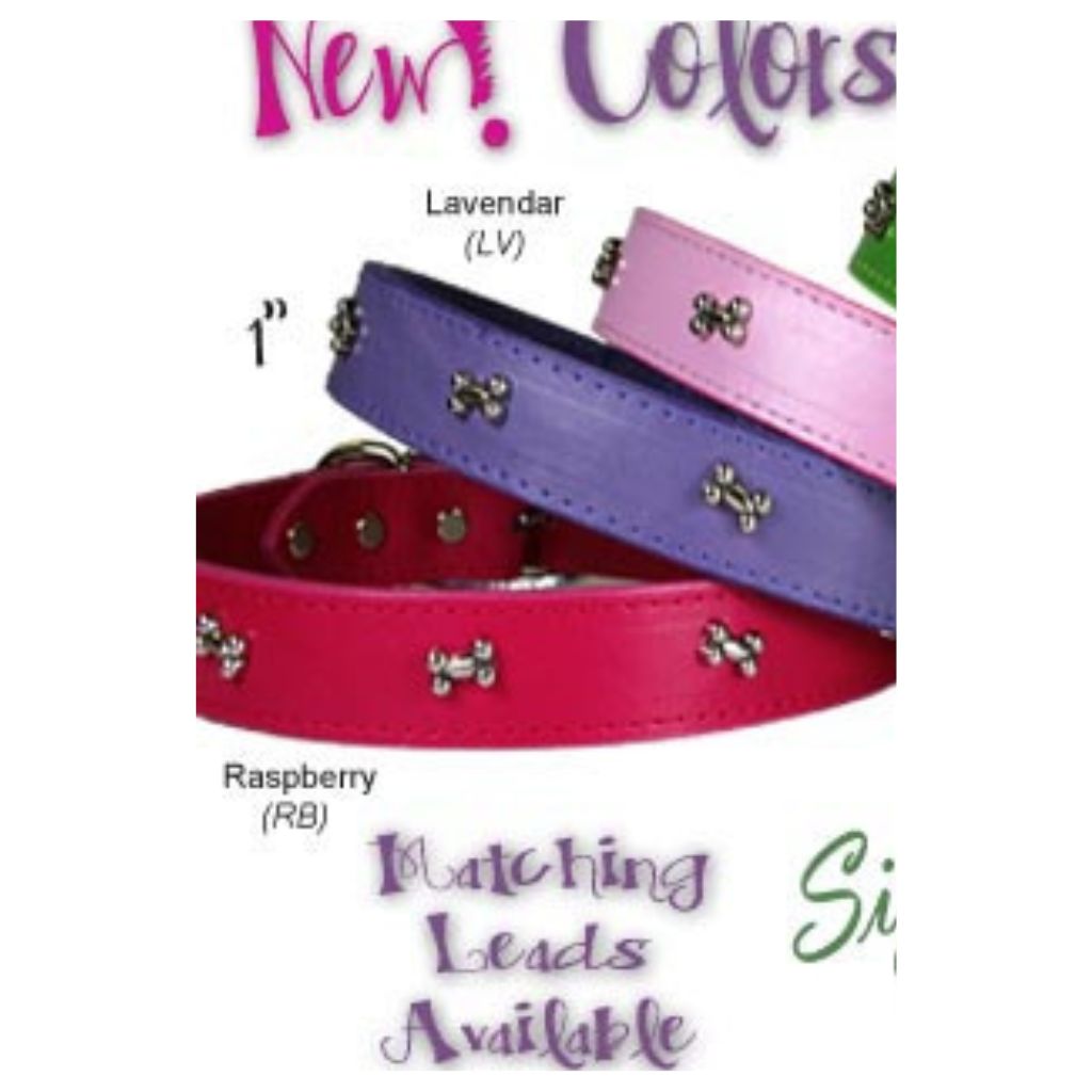 Leather Brothers - Collar Leather With Bone Conchos 1/2" Lavender