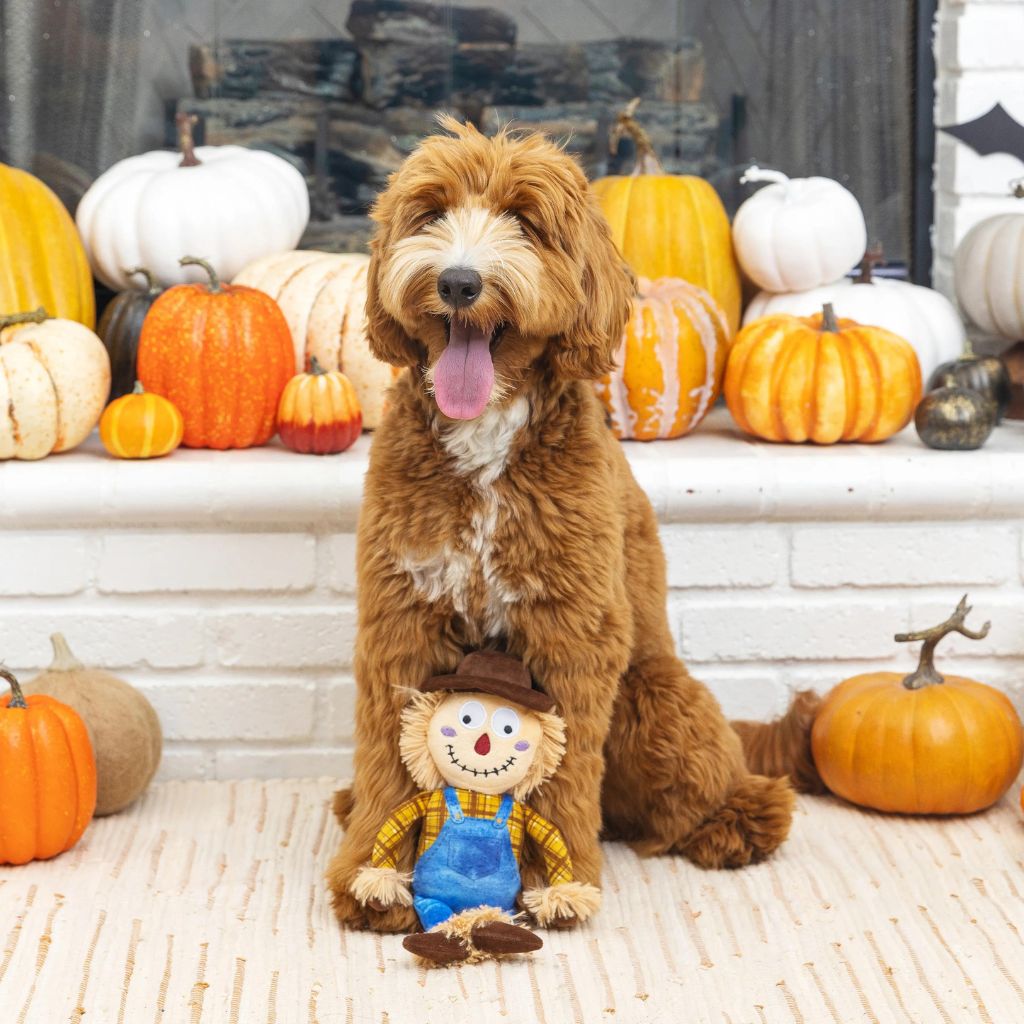 Petshop by Fringe Studio - On My Last Straw Scarecrow Plush Dog Toy