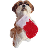 Ornament Shih Tzu Gold/White