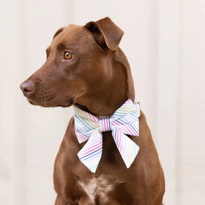 Dog Bow Lady Happy Stripe