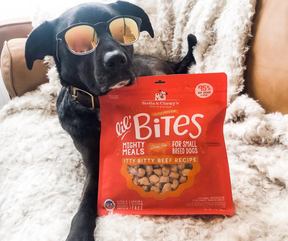 Stella & Chewy's Lil’ Bites - Small Dog Breeds, Adult Dog Itty Bitty Beef Recipe Dry Dog Food-Southern Agriculture