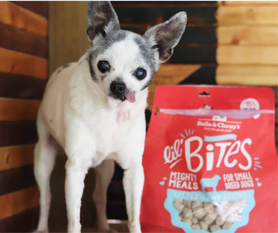 Stella & Chewy's Lil’ Bites - Small Breed, Adult Dog Little Lamb Recipe Dry Dog Food-Southern Agriculture