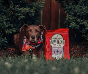 Stella & Chewy's Raw Blend - All Breeds, Adult Dog Free Range, Lamb, Goat, and Elk Kibble Recipe Dry Dog Food-Southern Agriculture