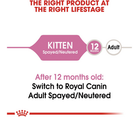 Royal Canin - Spayed/Neutered Kitten Dry Cat Food-Southern Agriculture