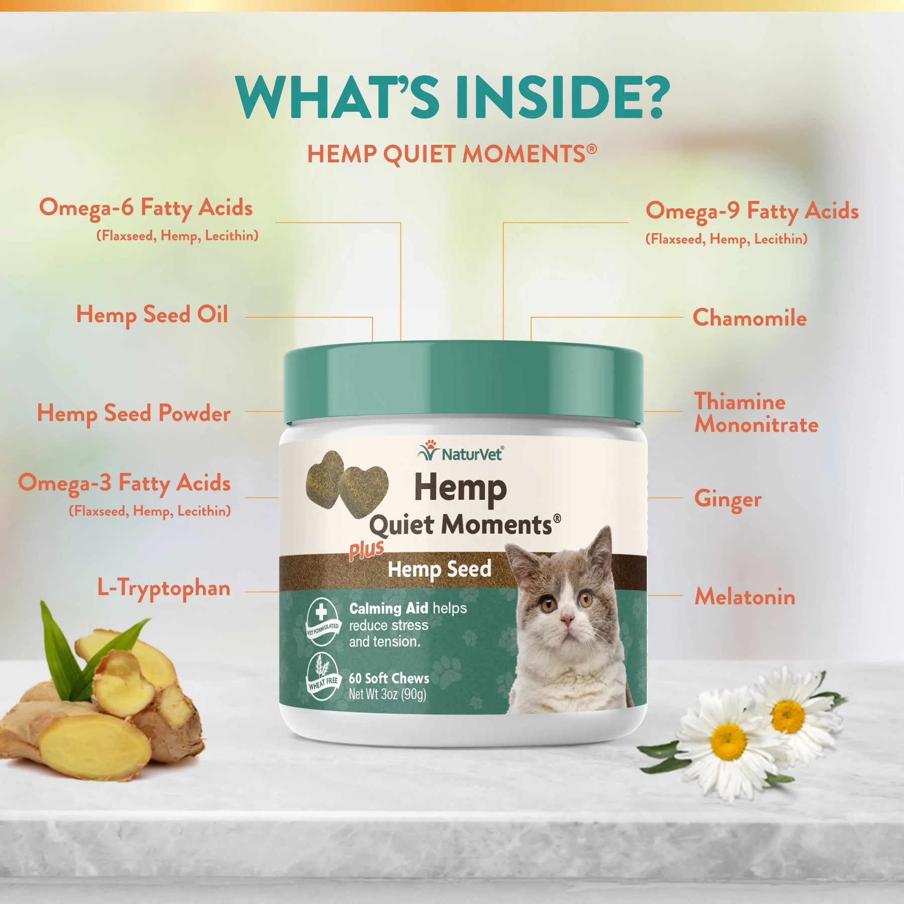 Hemp Quiet Moments Cat Soft Chew by NaturVet 60 Count Jar