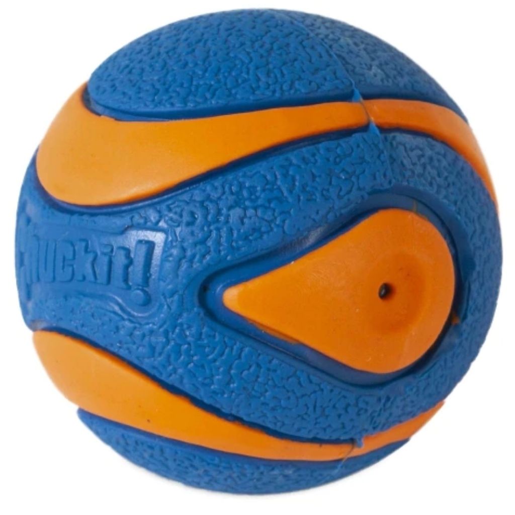 Chuckit!® Ultra Squeaker Ball Dog Toy