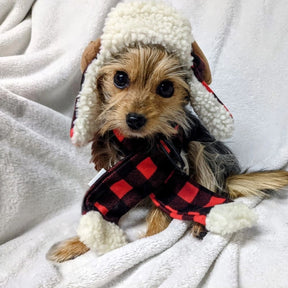 Huxley & Kent - Buffalo Plaid Hat with Antlers Snugfit