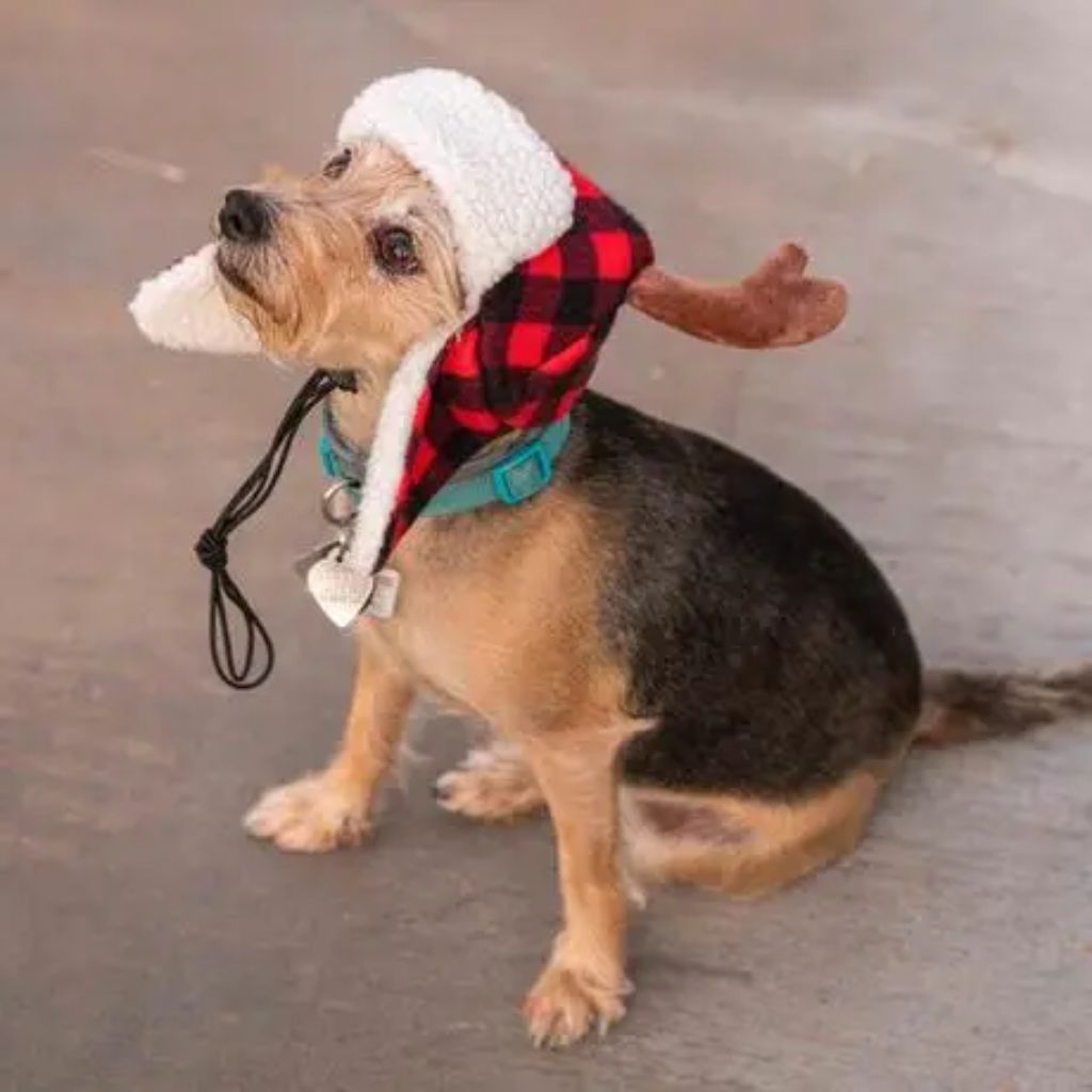 Huxley & Kent - Buffalo Plaid Hat with Antlers Snugfit