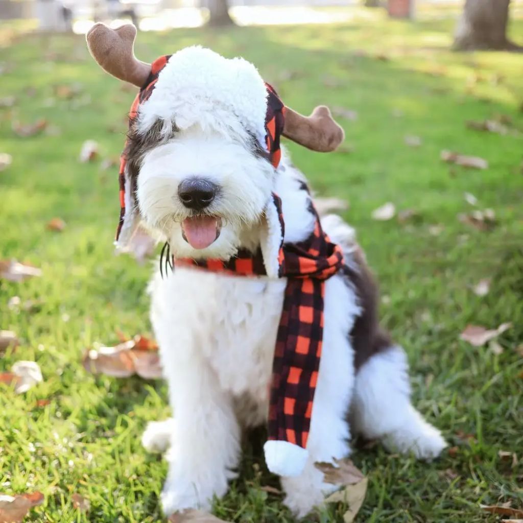 Huxley & Kent - Buffalo Plaid Hat with Antlers Snugfit