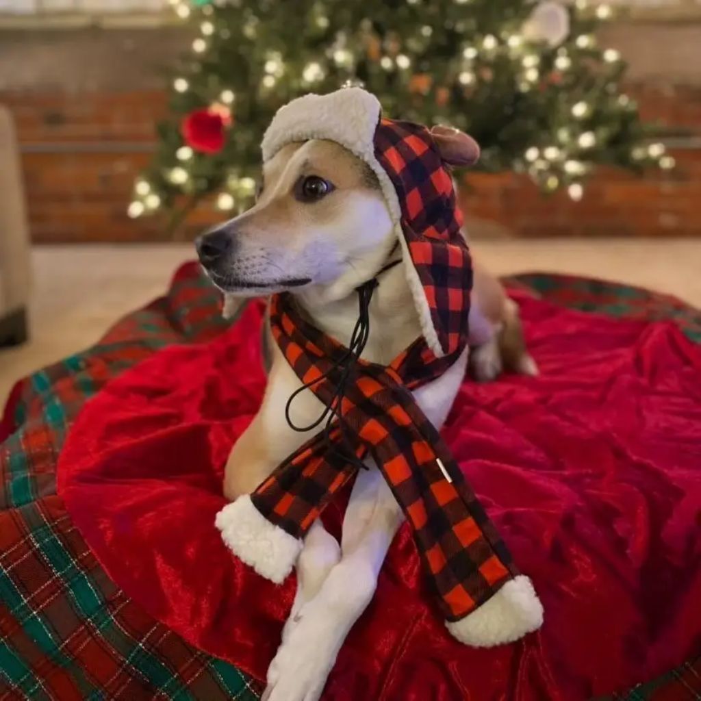 Huxley & Kent - Buffalo Plaid Hat with Antlers Snugfit