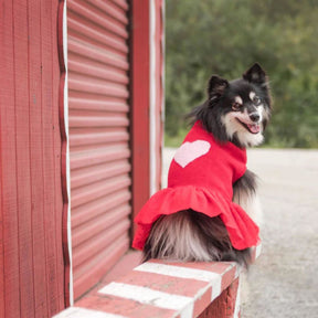 Red with Pink Heart | For Love of Pets Dog Sweater