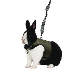 Kaytee Comfort Harness & Stretchy Leash-Southern Agriculture