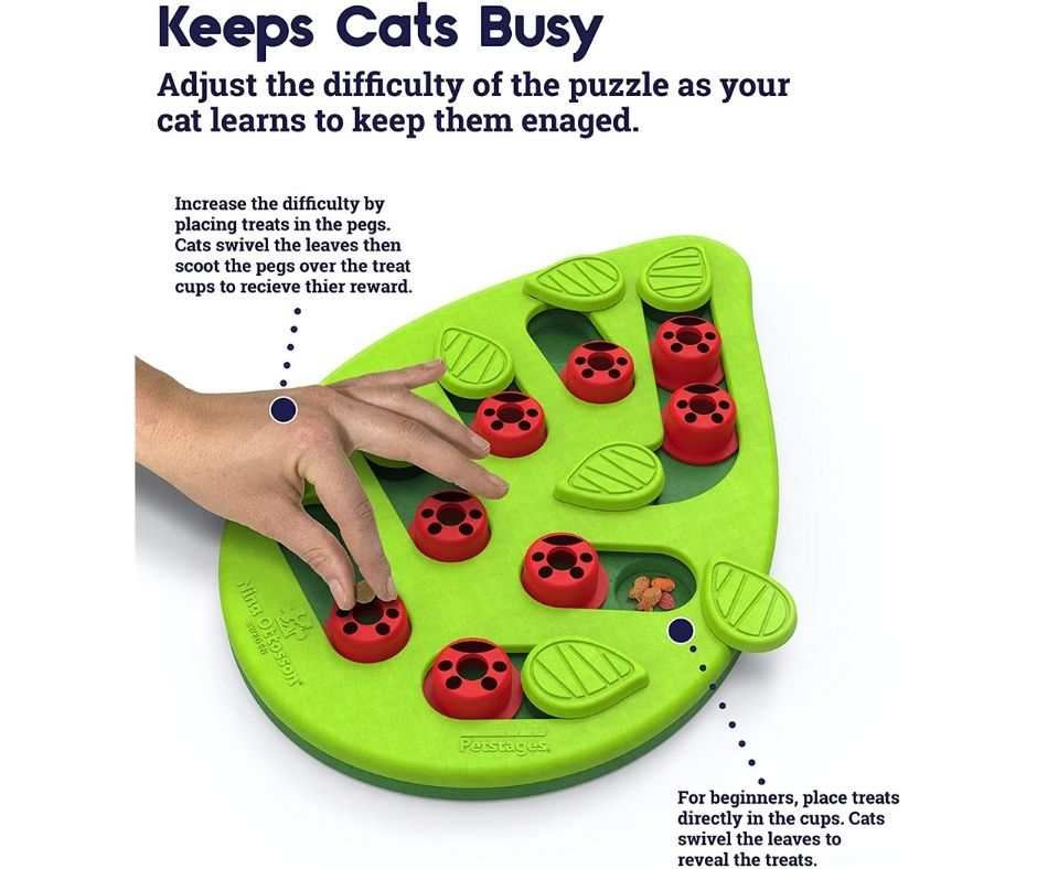 Petstages - Buggin Out Cat Puzzle. Cat Toy.-Southern Agriculture