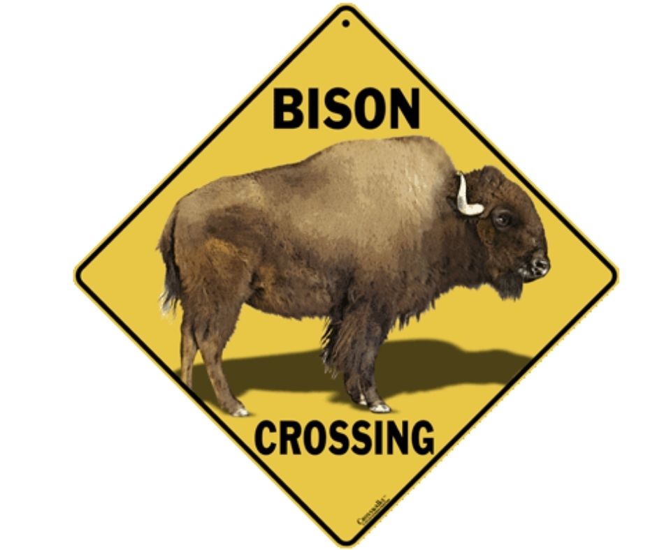 Bison Crossing Sign by Crosswalks-Southern Agriculture