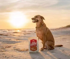 Stella & Chewy's - Stella Essentials High Plains Red Recipe with Grass-Fed Beef Dry Dog Food-Southern Agriculture