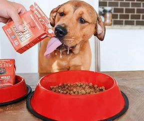 Stella & Chewy's Grass-Fed Beef Broth Tropper for Dogs-Southern Agriculture