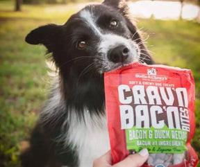 Stella & Chewy's - Crav’n Bac’n Bites Bacon & Duck Recipe. Dog Treats.-Southern Agriculture