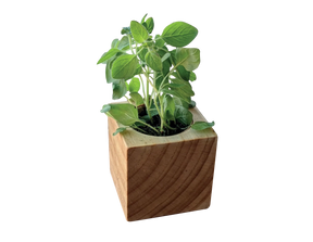 Sprigbox Oregano Grow Kit