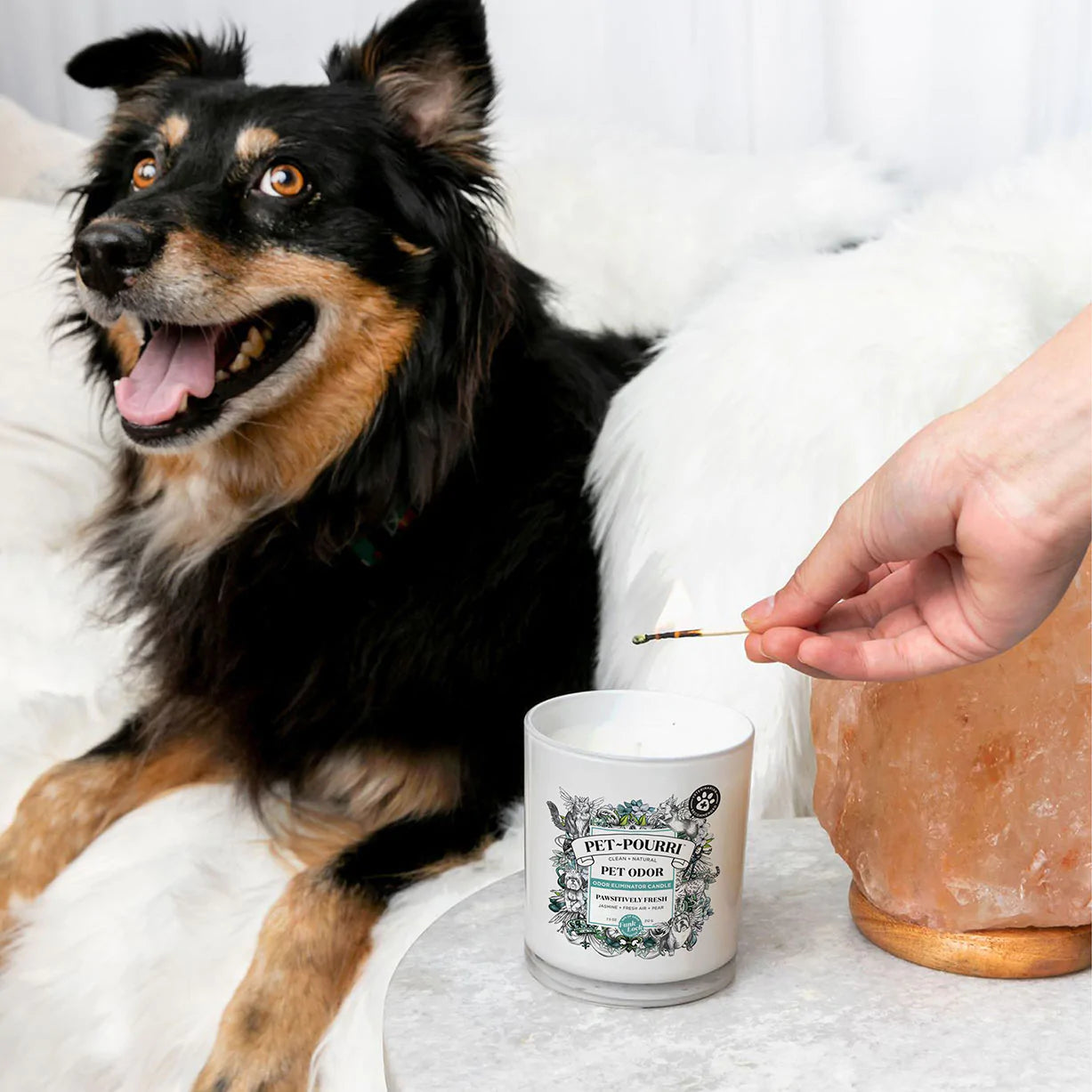 Poo-Pourri Candle Pawsitively Fresh